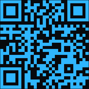 Vignesh Profile QR Code